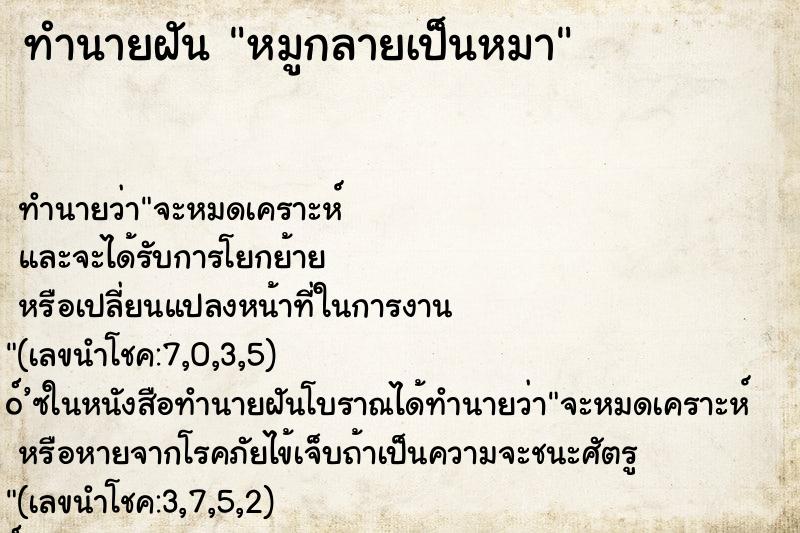 ทำนายฝัน หมูกลายเป็นหมา ทำนายฝัน หมูกลายเป็นหมา