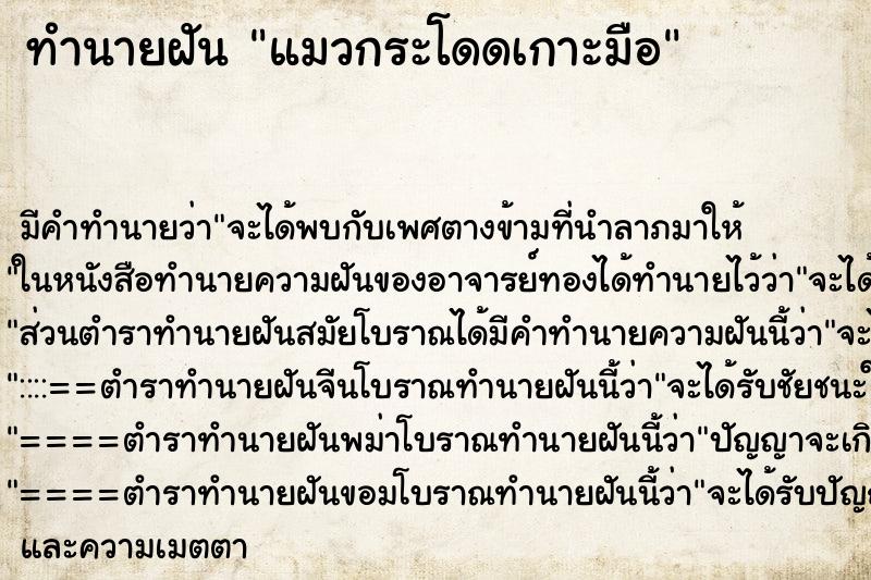 ทำนายฝัน แมวกระโดดเกาะมือ ทำนายฝัน แมวกระโดดเกาะมือ