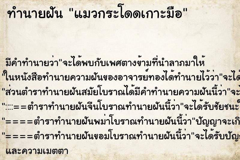 ทำนายฝัน แมวกระโดดเกาะมือ ตำราโบราณ แม่นที่สุดในโลก