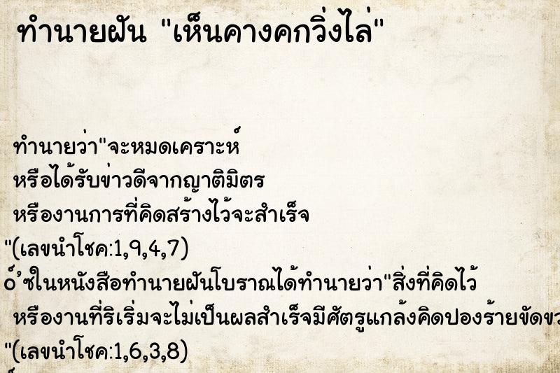 ทำนายฝัน เห็นคางคกวิ่งไล่ ทำนายฝัน เห็นคางคกวิ่งไล่