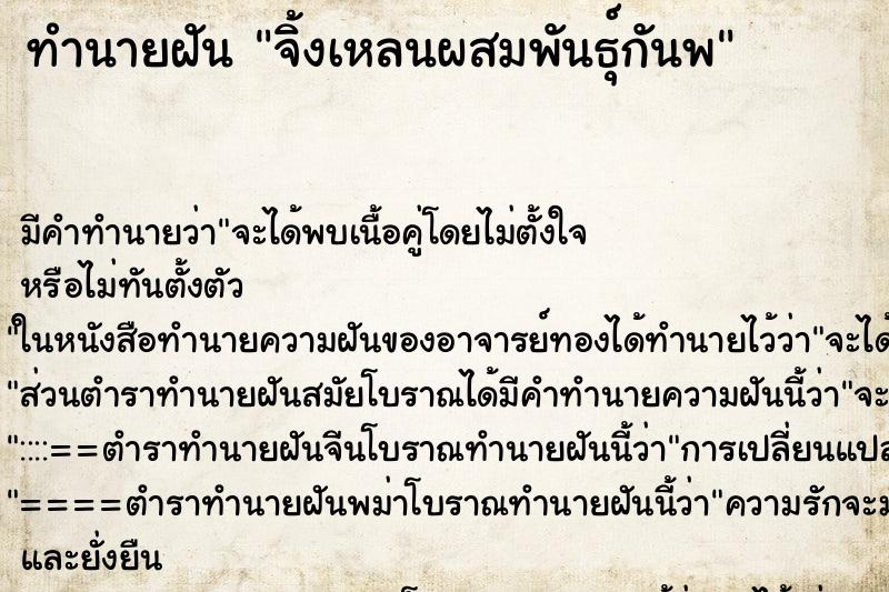 ทำนายฝันทำนายฝันจิ้งเหลนผสมพันธุ์กันพ