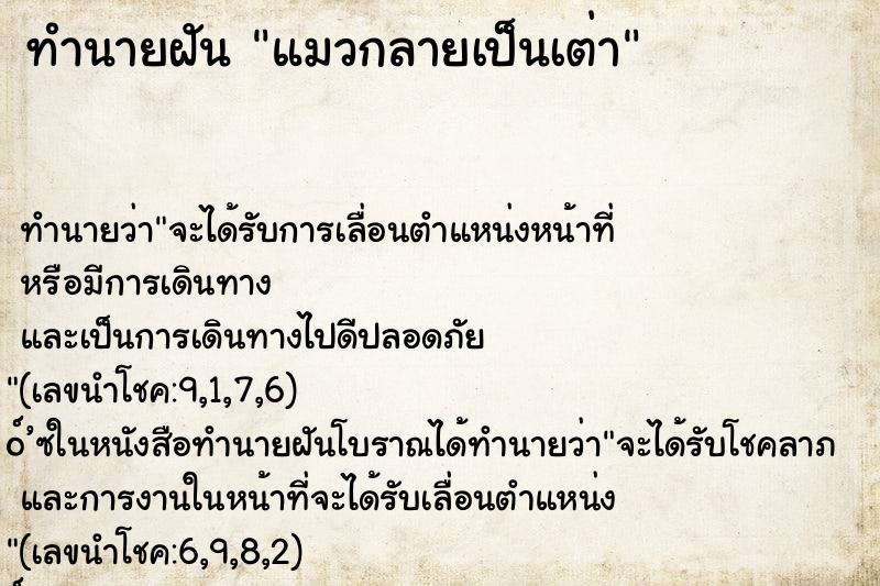 ทำนายฝันทำนายฝันแมวกลายเป็นเต่า