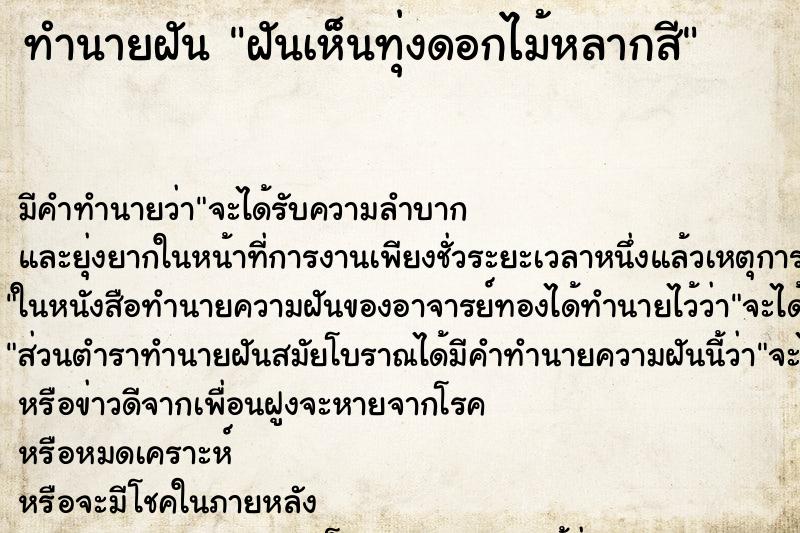 ทำนายฝันฝันเห็นทุ่งดอกไม้หลากสี ทำนายฝันทำนายฝันฝันเห็นทุ่งดอกไม้หลากสี