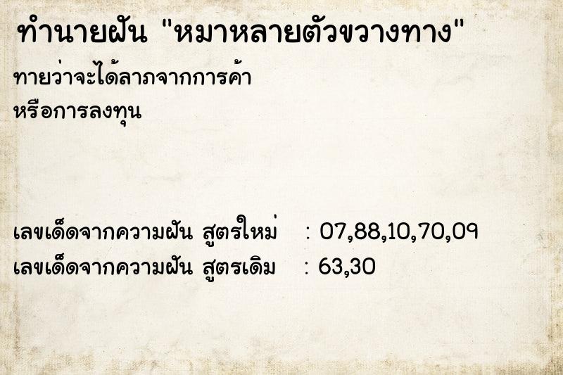 ทำนายฝัน หมาหลายตัวขวางทาง ทำนายฝัน หมาหลายตัวขวางทาง