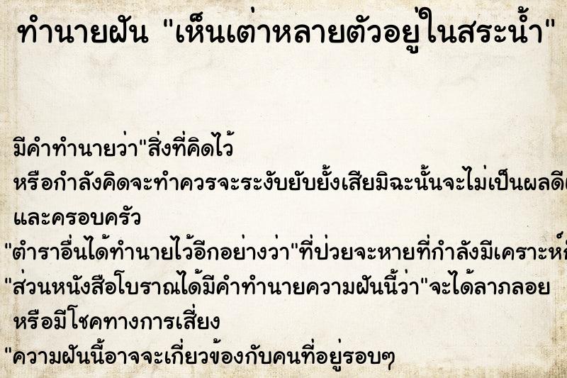 ทำนายฝันเห็นเต่าหลายตัวอยู่ในสระน้ำ ทำนายฝันทำนายฝันเห็นเต่าหลายตัวอยู่ในสระน้ำ