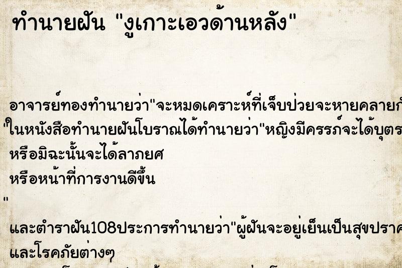 ทำนายฝันงูเกาะเอวด้านหลัง ทำนายฝันทำนายฝันงูเกาะเอวด้านหลัง