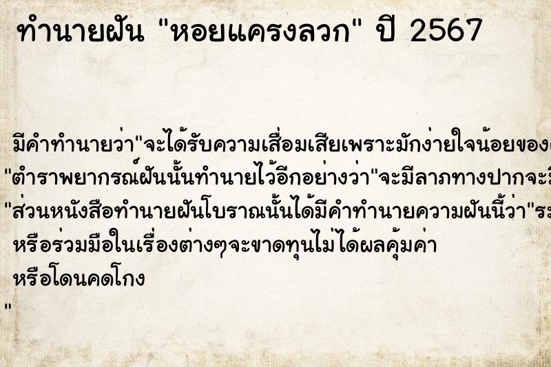 ทำนายฝันหอยแครงลวก ทำนายฝันทำนายฝันหอยแครงลวก