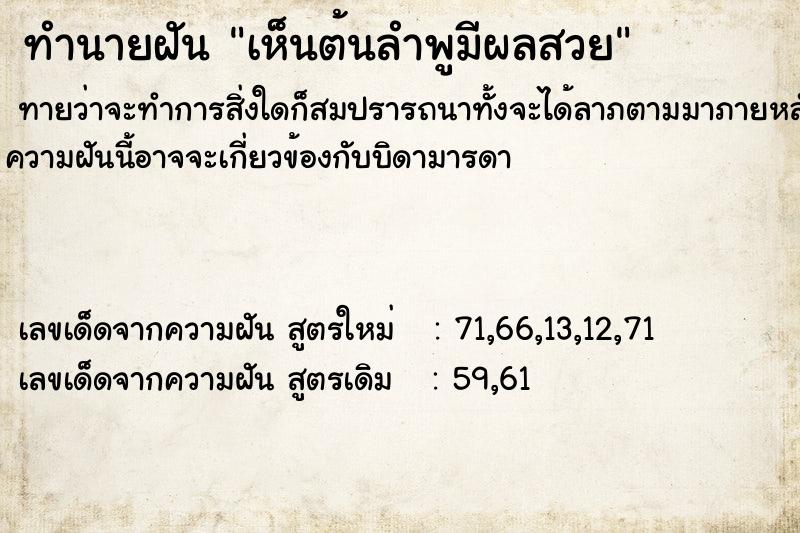 ทำนายฝันเห็นต้นลำพูมีผลสวย ทำนายฝันทำนายฝันเห็นต้นลำพูมีผลสวย