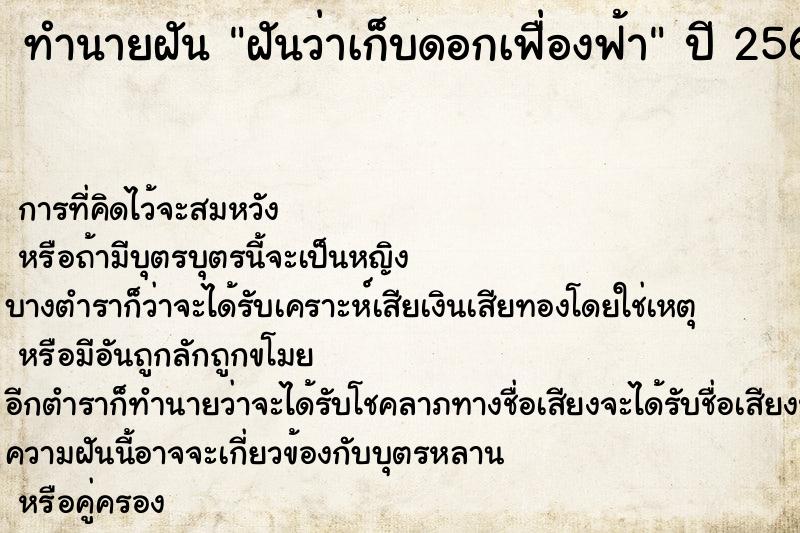 ทำนายฝันฝันว่าเก็บดอกเฟื่องฟ้า ทำนายฝันทำนายฝันฝันว่าเก็บดอกเฟื่องฟ้า