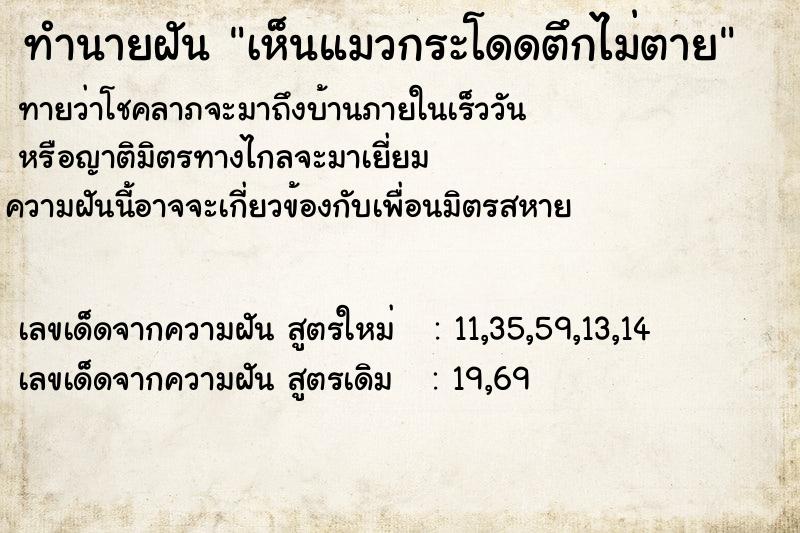 ทำนายฝันเห็นแมวกระโดดตึกไม่ตาย ทำนายฝันทำนายฝันเห็นแมวกระโดดตึกไม่ตาย