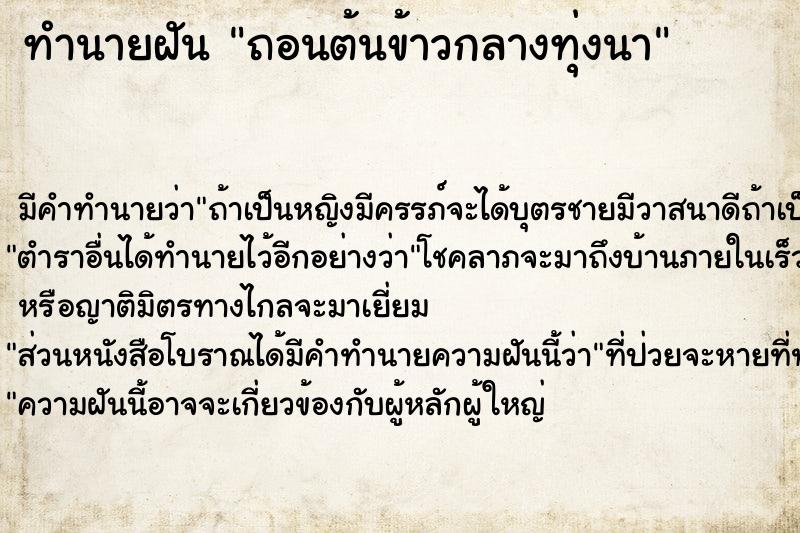 ทำนายฝันถอนต้นข้าวกลางทุ่งนา ทำนายฝันทำนายฝันถอนต้นข้าวกลางทุ่งนา