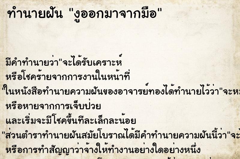 ทำนายฝัน งูออกมาจากมือ ทำนายฝัน งูออกมาจากมือ