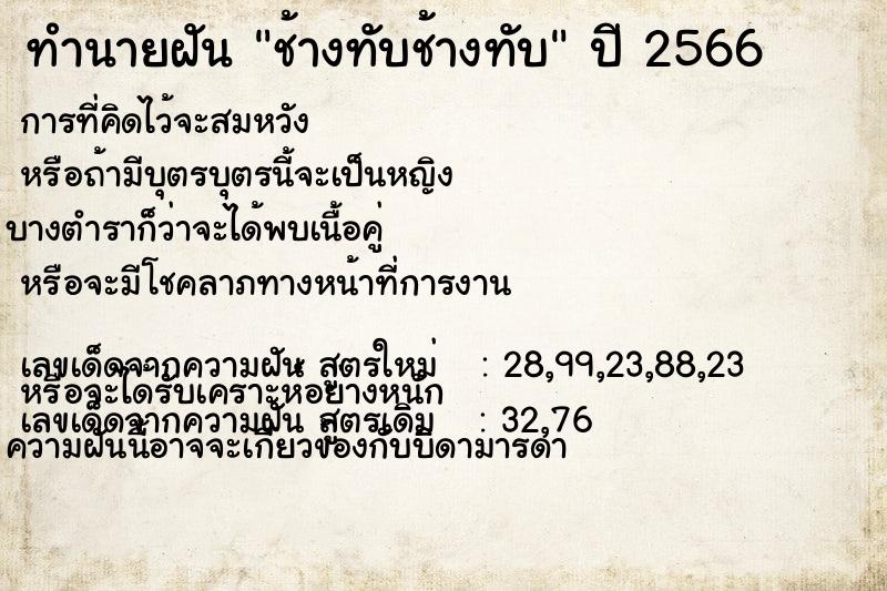 ทำนายฝันช้างทับช้างทับ ทำนายฝันทำนายฝันช้างทับช้างทับ