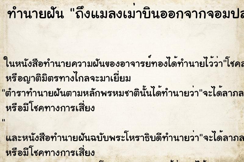 ทำนายฝันถึงแมลงเม่าบินออกจากจอมปลวกเยอะแยะไปหมด ทำนายฝันทำนายฝันถึงแมลงเม่าบินออกจากจอมปลวกเยอะแยะไปหมด