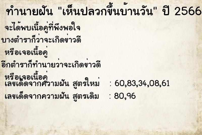 ทำนายฝันเห็นปลวกขึ้นบ้านวัน ทำนายฝันทำนายฝันเห็นปลวกขึ้นบ้านวัน