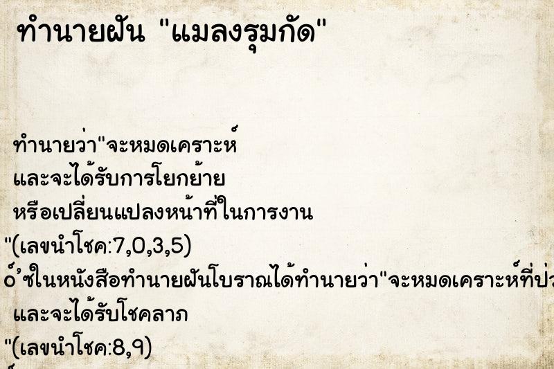 ทำนายฝัน แมลงรุมกัด ทำนายฝัน แมลงรุมกัด