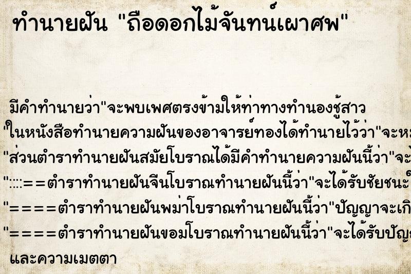 ทำนายฝัน ถือดอกไม้จันทน์เผาศพ ทำนายฝัน ถือดอกไม้จันทน์เผาศพ