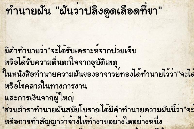 ทำนายฝัน ฝันว่าปลิงดูดเลือดที่ขา