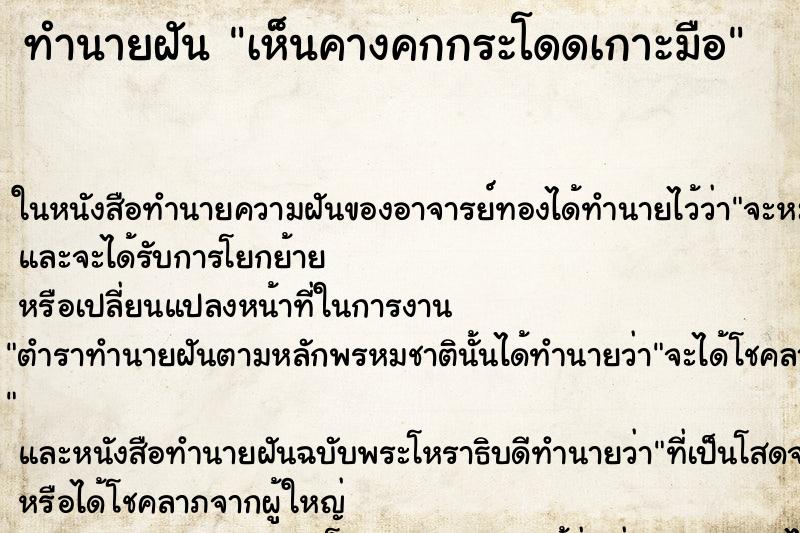 ทำนายฝัน เห็นคางคกกระโดดเกาะมือ ทำนายฝัน เห็นคางคกกระโดดเกาะมือ