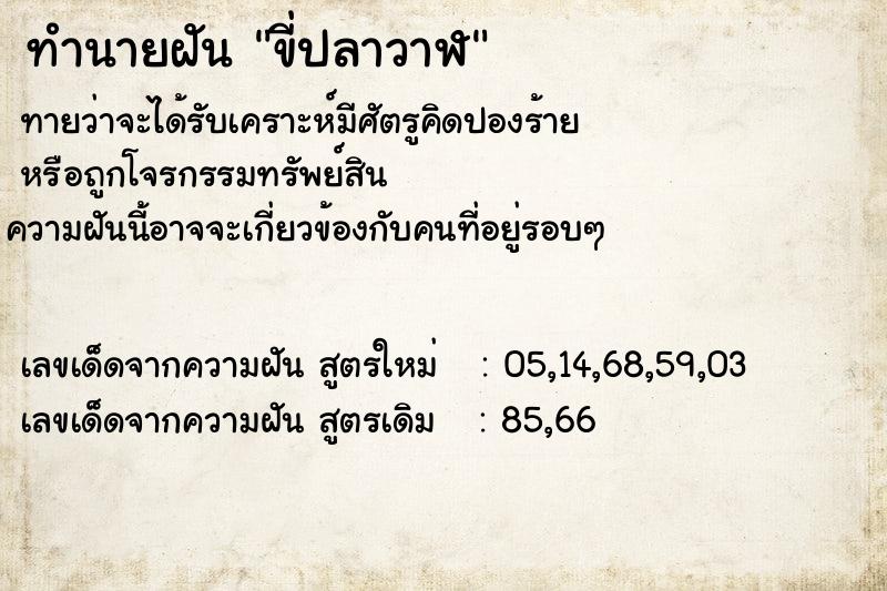 ทำนายฝัน ขี่ปลาวาฬ ทำนายฝัน ขี่ปลาวาฬ