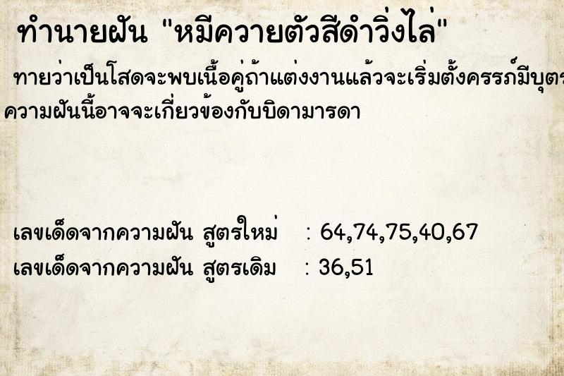 ทำนายฝันหมีควายตัวสีดำวิ่งไล่ ทำนายฝันทำนายฝันหมีควายตัวสีดำวิ่งไล่