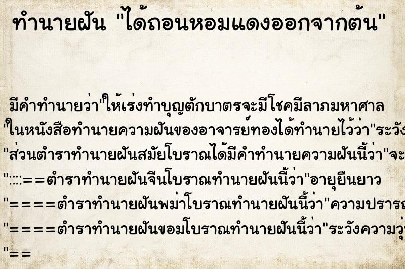 ทำนายฝัน ได้ถอนหอมแดงออกจากต้น ทำนายฝัน ได้ถอนหอมแดงออกจากต้น