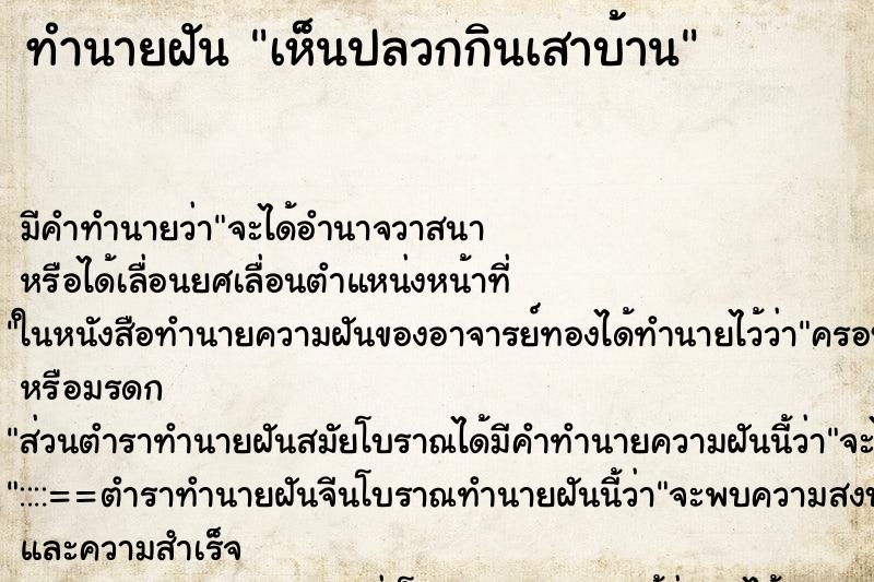 ทำนายฝันเห็นปลวกกินเสาบ้าน ทำนายฝันทำนายฝันเห็นปลวกกินเสาบ้าน