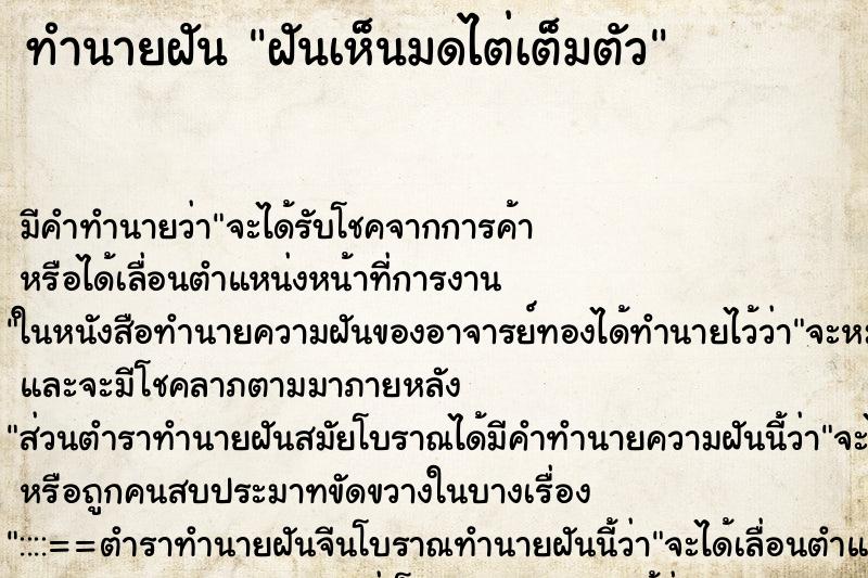 ทำนายฝัน ฝันเห็นมดไต่เต็มตัว ทำนายฝัน ฝันเห็นมดไต่เต็มตัว