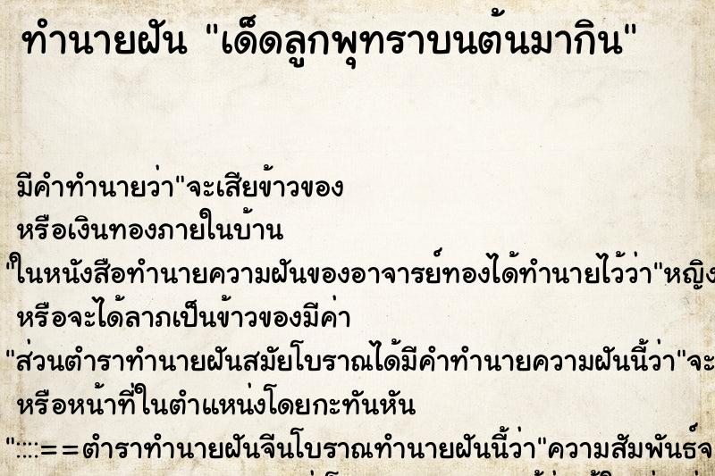 ทำนายฝันเด็ดลูกพุทราบนต้นมากิน ทำนายฝันทำนายฝันเด็ดลูกพุทราบนต้นมากิน