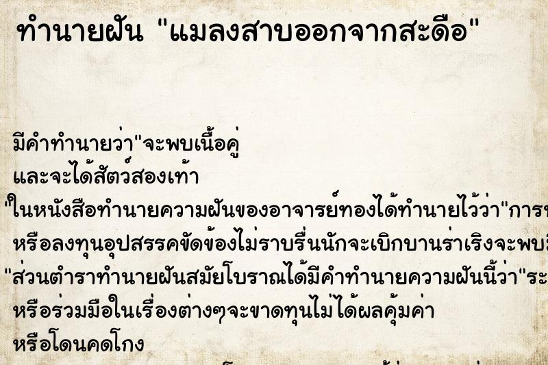 ทำนายฝัน แมลงสาบออกจากสะดือ