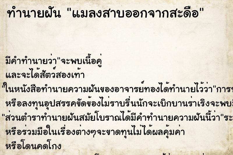 ทำนายฝัน แมลงสาบออกจากสะดือ ตำราโบราณ แม่นที่สุดในโลก