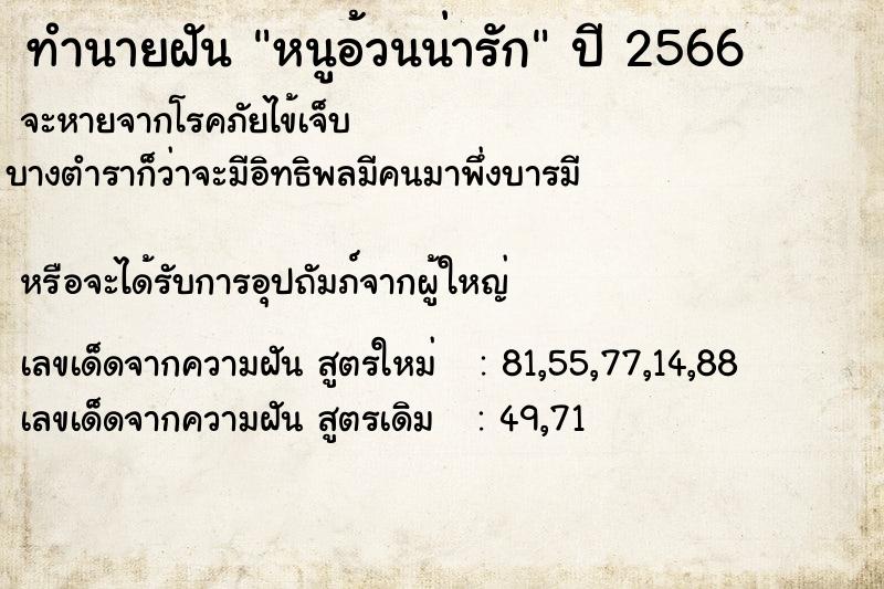 ทำนายฝันหนูอ้วนน่ารัก ทำนายฝันทำนายฝันหนูอ้วนน่ารัก