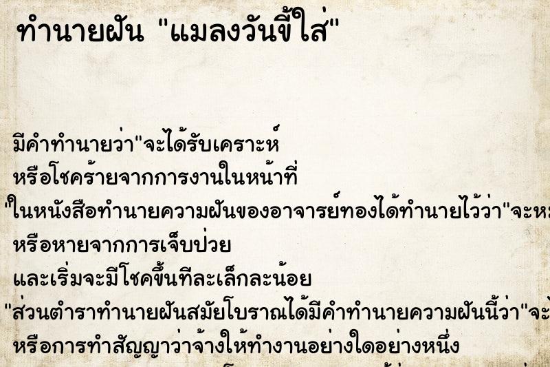ทำนายฝัน แมลงวันขี้ใส่ ทำนายฝัน แมลงวันขี้ใส่