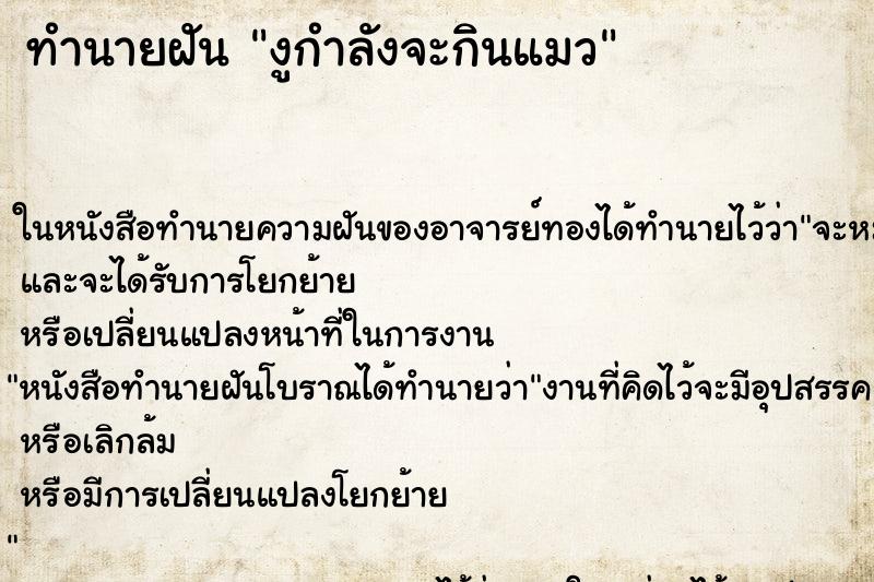 ทำนายฝัน งูกำลังจะกินแมว ตำราโบราณ แม่นที่สุดในโลก