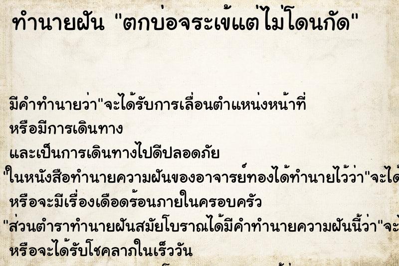 ทำนายฝัน ตกบ่อจระเข้แต่ไม่โดนกัด
