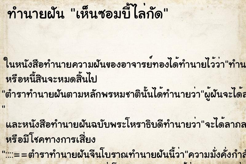 ทำนายฝันเห็นซอมบี้ไล่กัด ทำนายฝันทำนายฝันเห็นซอมบี้ไล่กัด