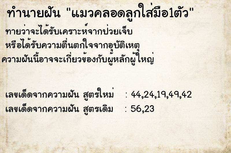 ทำนายฝันแมวคลอดลูกใส่มือ1ตัว ทำนายฝันทำนายฝันแมวคลอดลูกใส่มือ1ตัว