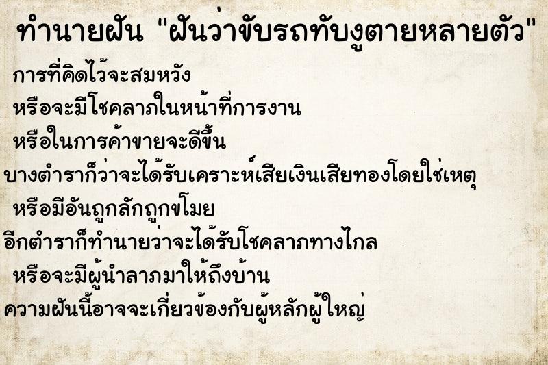 ทำนายฝันฝันว่าขับรถทับงูตายหลายตัว ทำนายฝันทำนายฝันฝันว่าขับรถทับงูตายหลายตัว