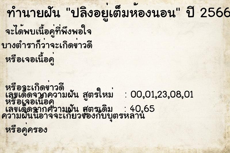 ทำนายฝันทำนายฝันปลิงอยู่เต็มห้องนอน