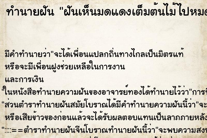 ทำนายฝัน ฝันเห็นมดแดงเต็มต้นไม้ไปหมดเลย ทำนายฝัน ฝันเห็นมดแดงเต็มต้นไม้ไปหมดเลย