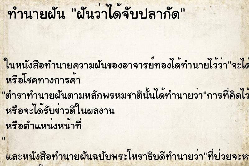 ทำนายฝัน ฝันว่าได้จับปลากัด ทำนายฝัน ฝันว่าได้จับปลากัด