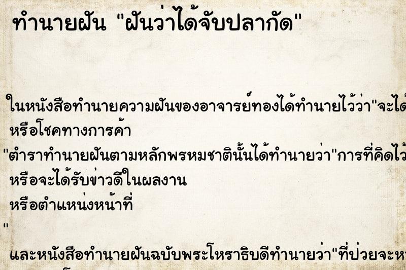 ทำนายฝัน ฝันว่าได้จับปลากัด ตำราโบราณ แม่นที่สุดในโลก