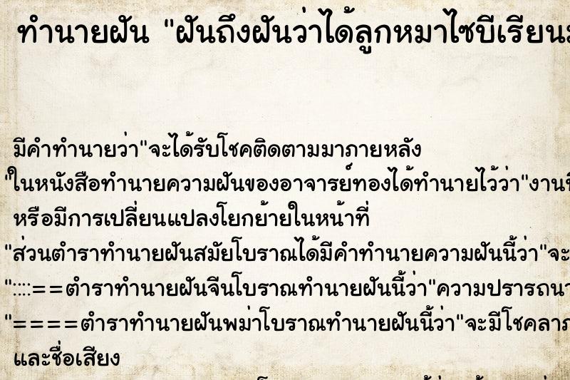 ทำนายฝันฝันถึงฝันว่าได้ลูกหมาไซบีเรียนมาเลี้ยง ทำนายฝันทำนายฝันฝันถึงฝันว่าได้ลูกหมาไซบีเรียนมาเลี้ยง