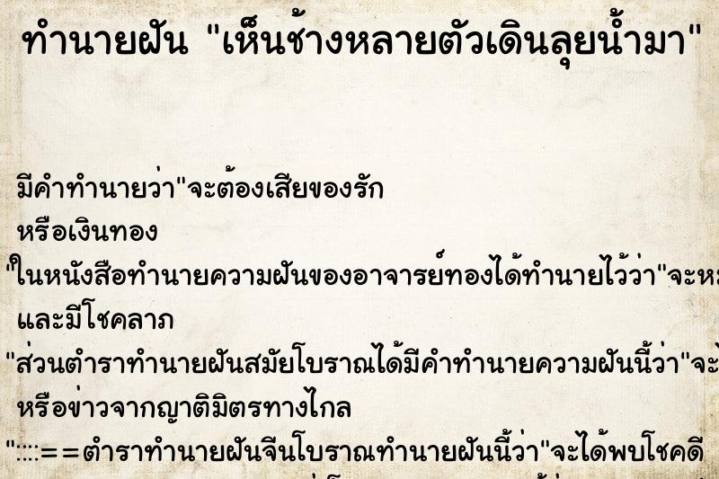 ทำนายฝัน เห็นช้างหลายตัวเดินลุยน้ำมา