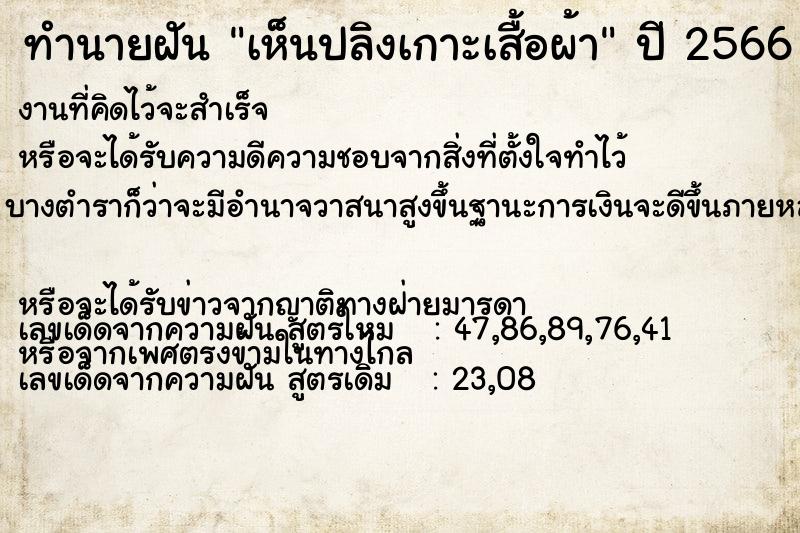 ทำนายฝัน เห็นปลิงเกาะเสื้อผ้า ทำนายฝัน เห็นปลิงเกาะเสื้อผ้า