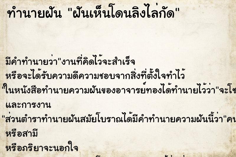 ทำนายฝันฝันเห็นโดนลิงไล่กัด ทำนายฝันทำนายฝันฝันเห็นโดนลิงไล่กัด