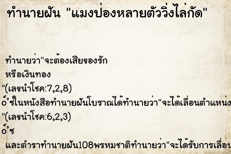 ทำนายฝันทำนายฝันแมงป่องหลายตัววิ่งไล่กัด