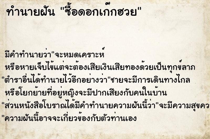 ทำนายฝัน ซื้อดอกเก๊กฮวย ทำนายฝัน ซื้อดอกเก๊กฮวย