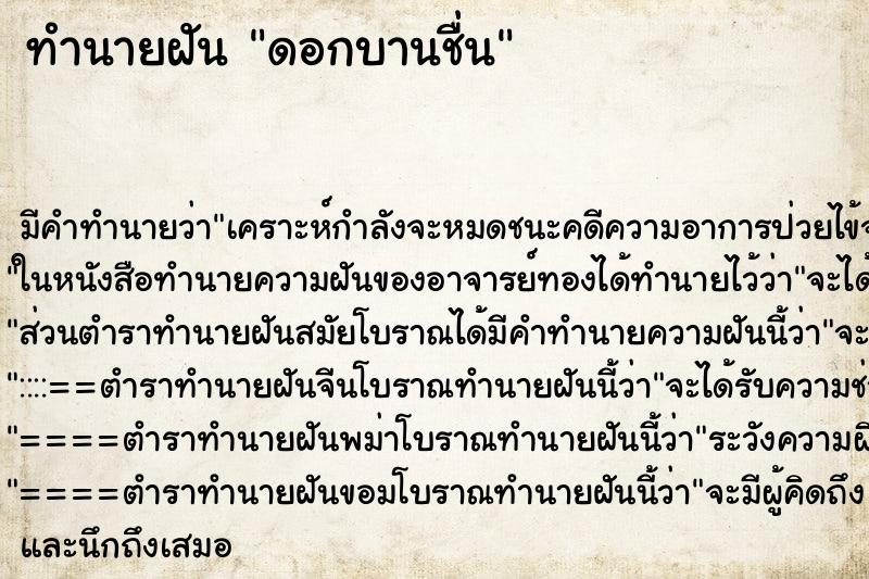ทำนายฝัน ดอกบานชื่น ทำนายฝัน ดอกบานชื่น