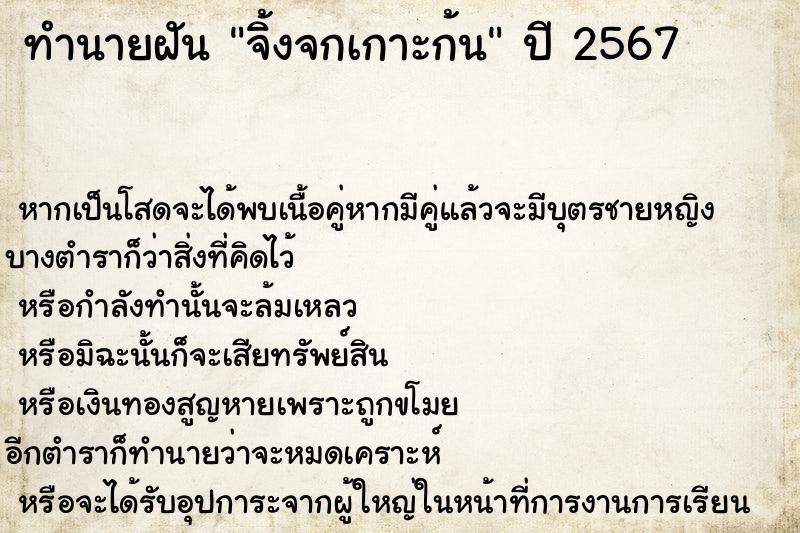 ทำนายฝันทำนายฝันจิ้งจกเกาะก้น